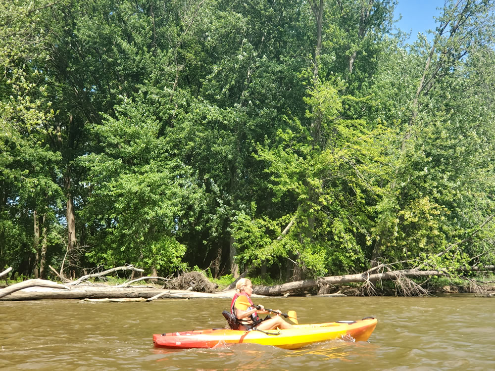 Kayak Rental Nuts Outdoors