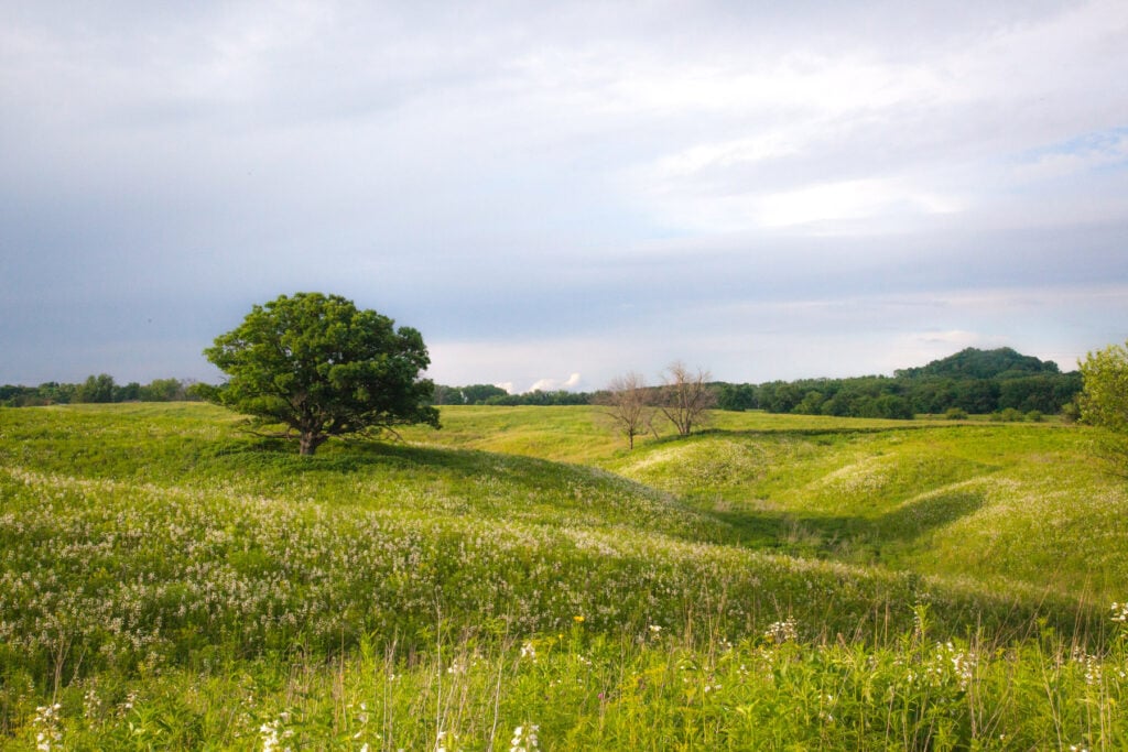 A sweeping panoramic view of the Mississippi River from Casper Bluff Reserve
