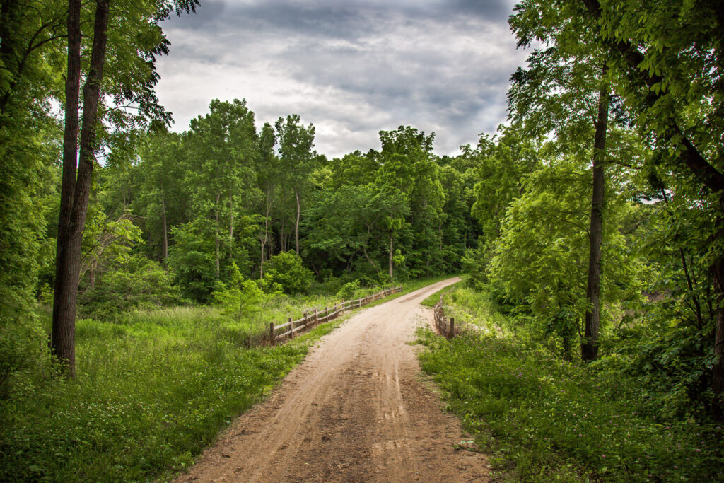 A beautiful crushed limestone path winding through the wooded Galena River Trail.